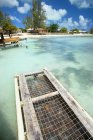 Vista diurna della trappola per aragoste vicino all'isola dei Caraibi — Foto stock