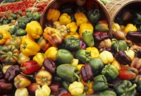 Harvest of colorful Bell Peppers — Stock Photo