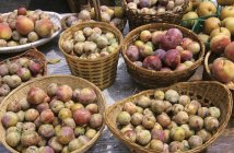 Paniers de prunes bio vertes — Photo de stock