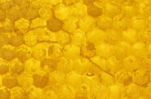 Jaune nid d'abeille brut — Photo de stock