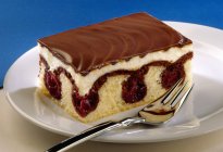 Pedaço de bolo de ondas do Danúbio — Fotografia de Stock