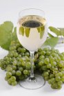 Bicchiere di vino bianco e uva verde — Foto stock