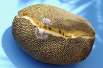Closeup view of jackfruit on blue surface — Stock Photo