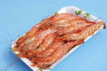 Cooked shrimps in a bowl — Stock Photo