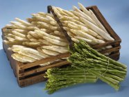 Rami di asparagi bianchi e verdi — Foto stock