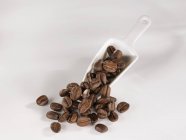 Coffee beans and ceramic scoop — Stock Photo