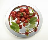 Fresh wild strawberries — Stock Photo