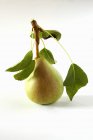 Pera fresca con foglie — Foto stock