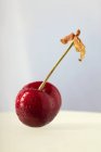 Fresh cherry with stalk — Stock Photo