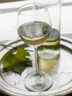 Bicchiere di vino bianco su un vassoio — Foto stock