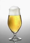 Пиво в стекле — стоковое фото