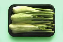 Baby fennel in plastic tray — Stock Photo