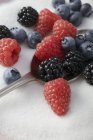 Ложка і змішані ягоди в цукрі — стокове фото