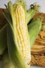 Три кукурузных початка с шелухой — стоковое фото