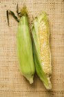 Duas espigas de milho com cascas — Fotografia de Stock