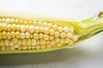 Mazorca de maíz con cáscaras - foto de stock