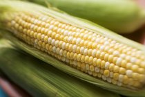 Mazorcas de maíz con cáscaras - foto de stock