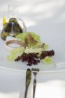 Смешаные листья салата на тарелке — стоковое фото