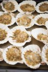 Vista ravvicinata di Scallops au Gratin sulle valvole dei crostacei — Foto stock