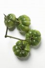 Quatro tomates de bife verdes — Fotografia de Stock