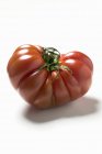 Tomate de boeuf rouge — Photo de stock