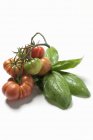 Красные и зеленые помидоры из говядины — стоковое фото