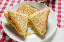 Підсмажений сир сендвіч — стокове фото