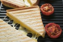 Бутерброды с жареным сыром — стоковое фото