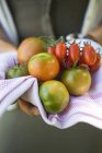 Руки, що тримають різні види помідорів — стокове фото
