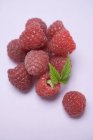 Fresh ripe raspberries with leaf — Stock Photo