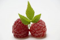 Fresh ripe raspberries with leaf — Stock Photo
