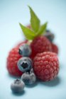 Fresh ripe blueberries and raspberries — Stock Photo