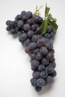 Куча чёрного винограда — стоковое фото