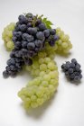 Bunches of green and black grapes — Stock Photo
