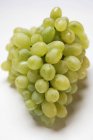 Une grappe de raisin vert — Photo de stock
