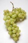 Пучок зеленого винограда муската — стоковое фото