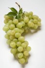Купу Мускат зеленої виноградний — стокове фото