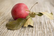 Gala apple with leaves — Stock Photo