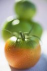 Зелені та апельсинові помідори — стокове фото