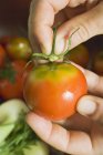 Hand removing stalk from a tomato — Stock Photo