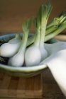 Several spring onions — Stock Photo