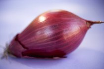 Unshelled Red onion — Stock Photo