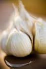 Garlic bulb on blurred background — Stock Photo