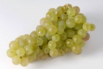 Bunch of Gutedel green grape — Stock Photo