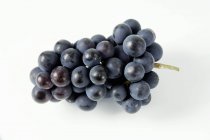 Racimo de uva negra Mllerrebe - foto de stock
