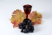 Келих червоного вина і чорного винограду — стокове фото