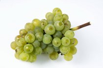 Fresh ripe green grapes — Stock Photo