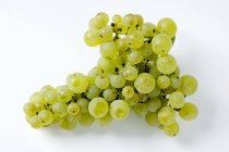 Uvas verdes frescas maduras - foto de stock