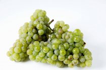 Uvas verdes maduras frescas — Fotografia de Stock