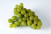 Uvas verdes frescas maduras - foto de stock